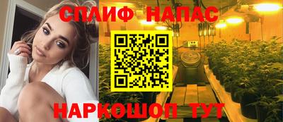 a pvp Кингисепп