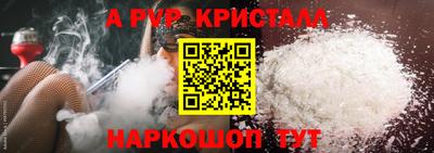 a pvp Кингисепп