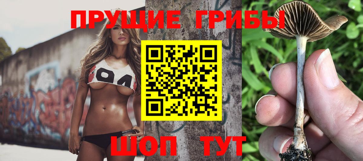 Псилоцибиновые грибы прущие грибы Гусев