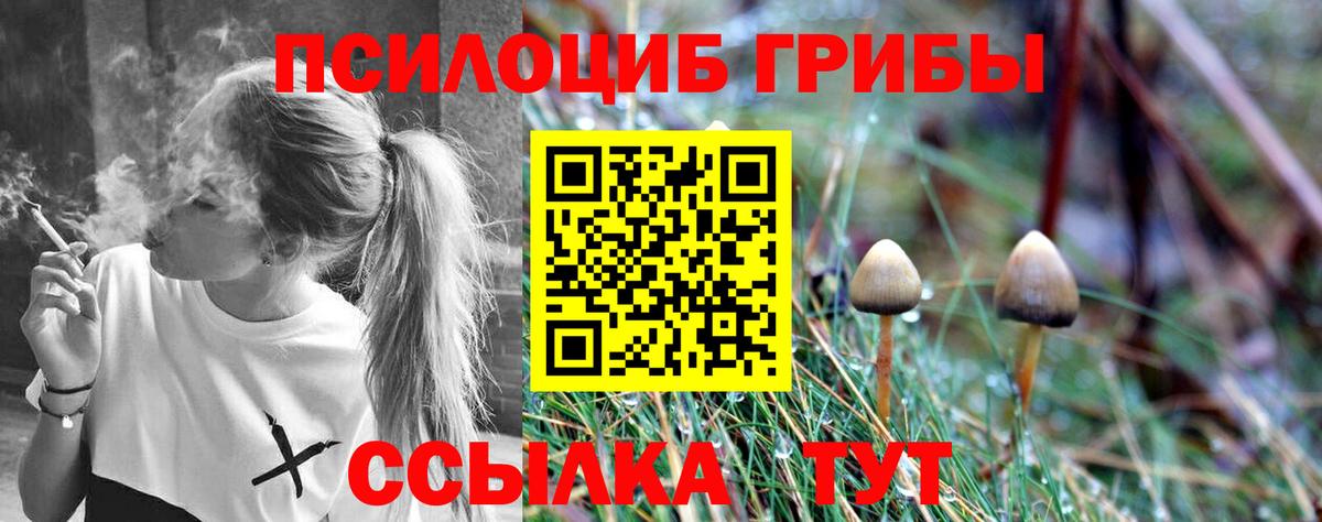 Гусев  Псилоцибиновые грибы мицелий  Вход с VPN 